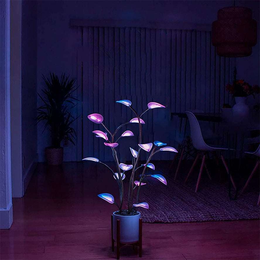 led night lights 🌟 - nivoland