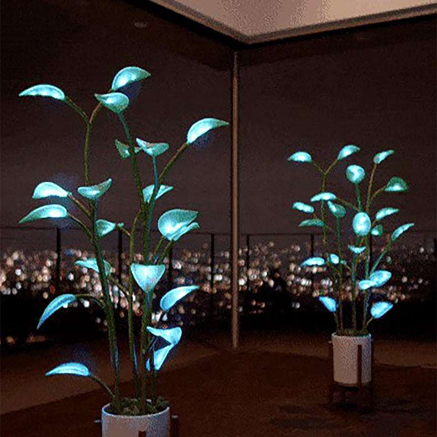 led night lights 🌟 - nivoland