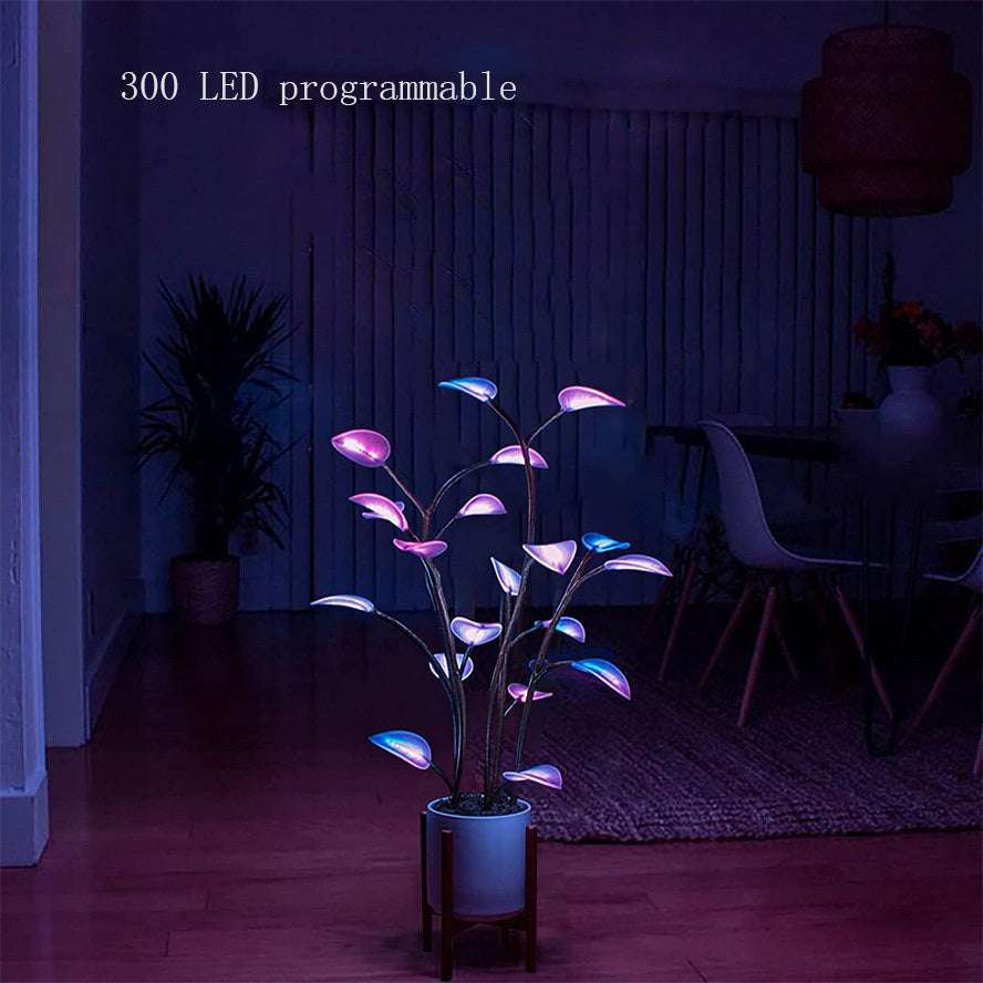 led night lights 🌟 - nivoland
