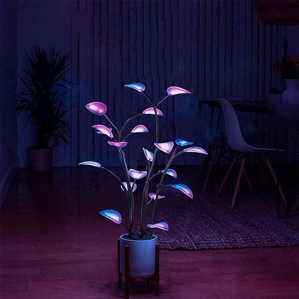 led night lights 🌟 - nivoland