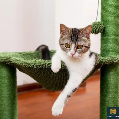 Cactus cat tree, sisal scratching post for Exercise - NivoLand