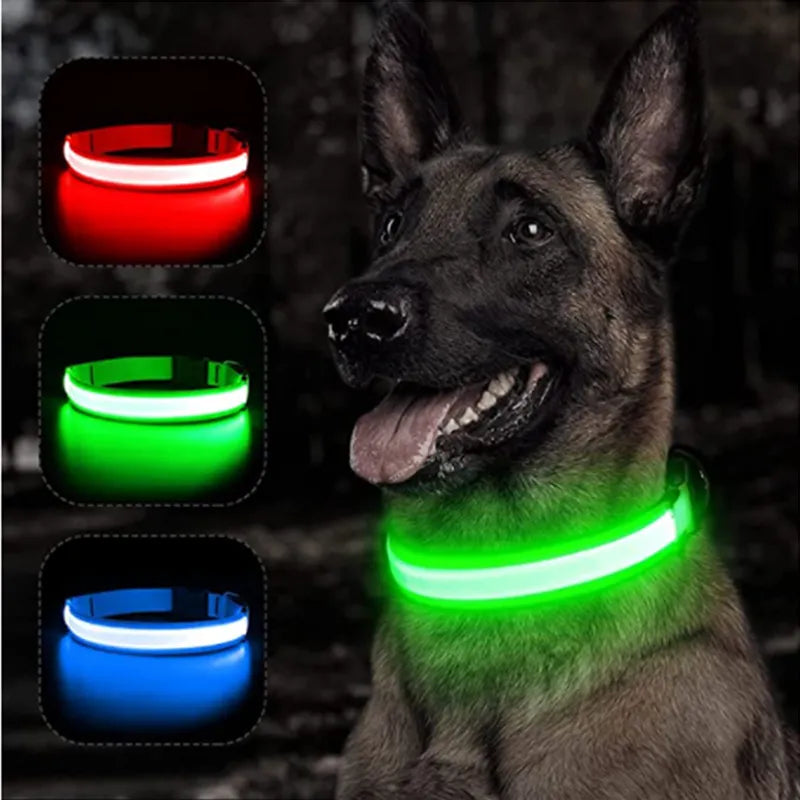 led dog collar - nivoland