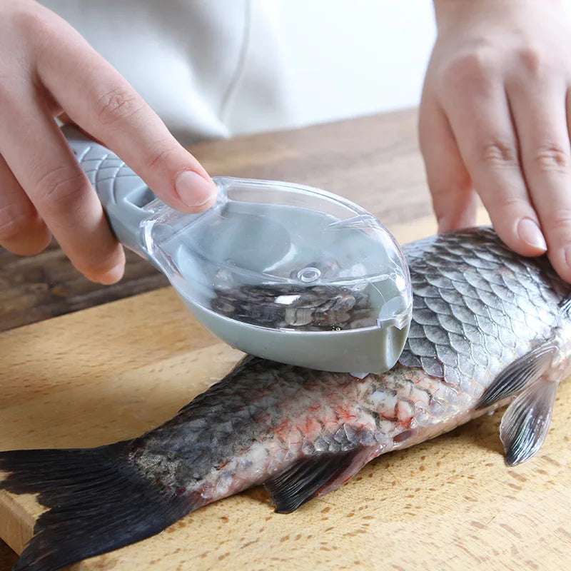 fish scale scraper - nivoland