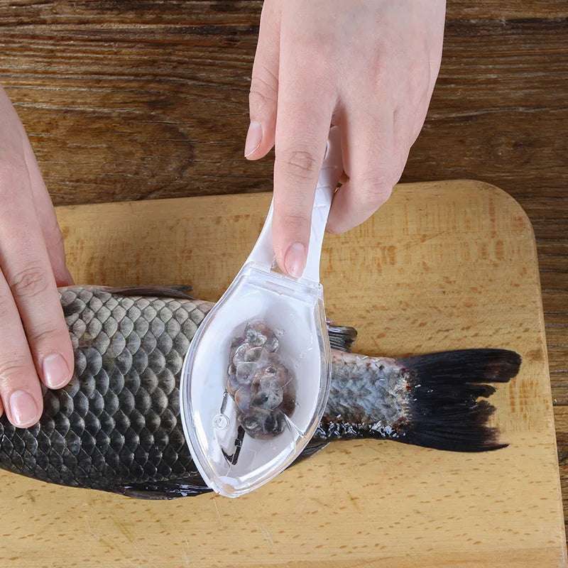fish scale scraper - nivoland