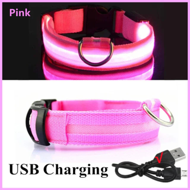 LED Dog Collar - NivoLand