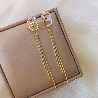 Tassel Long Earrings
