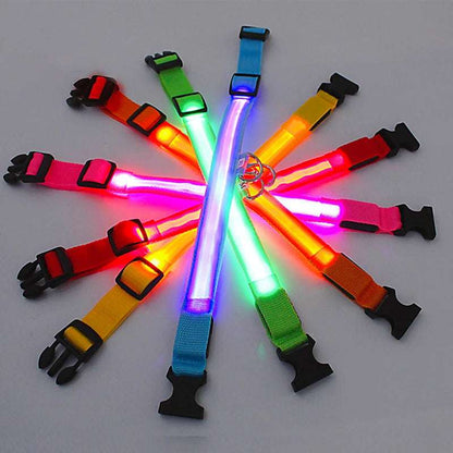 LED Dog Collar - NivoLand